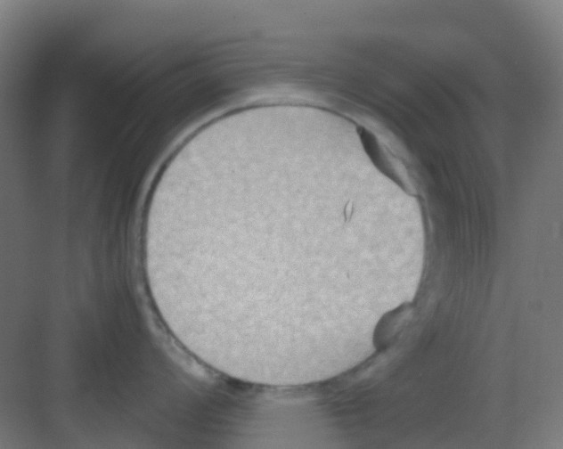 X0000081371008200702082341