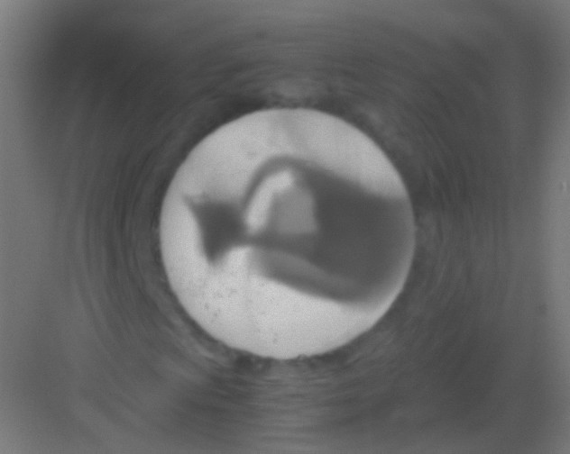 X0000081371009200702082340