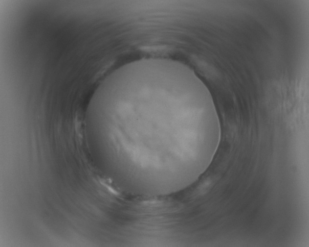 X0000081371010200702082340