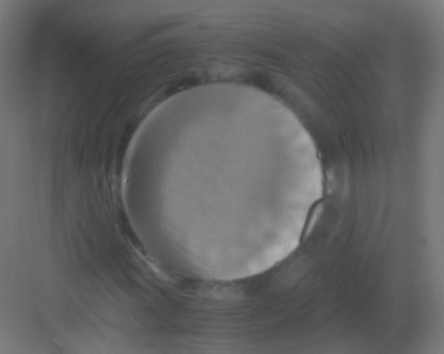 X0000081371011200702082340