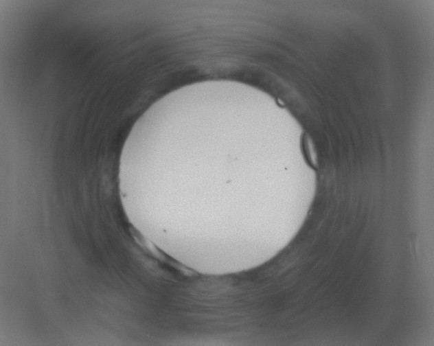 X0000081371012200702082340