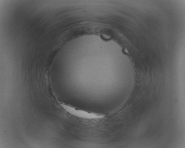 X0000081371013200702082340