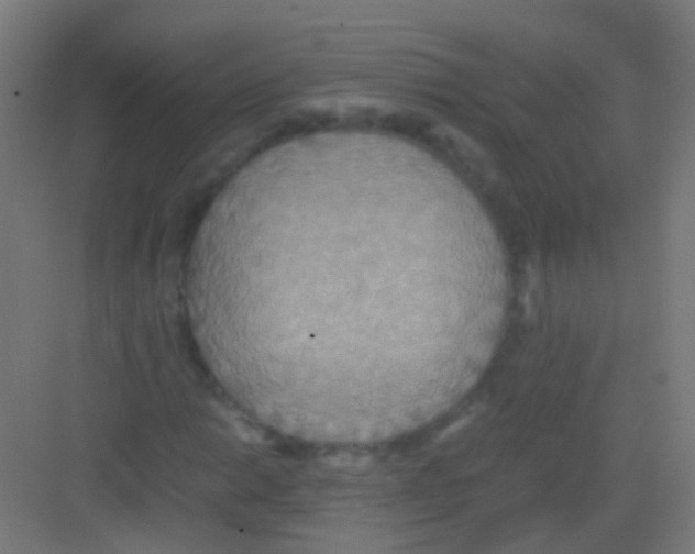 X0000081371014200702082340