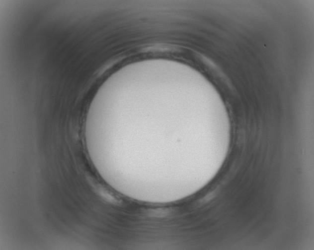 X0000081371017200702082340