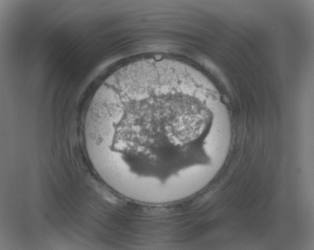 X0000081371019200702082341