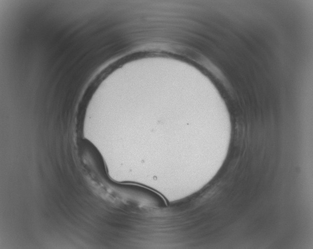 X0000081371020200702082341