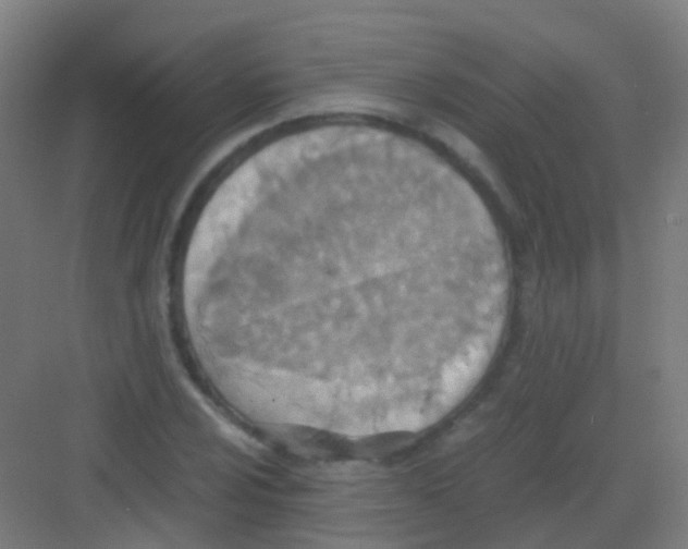 X0000081371024200702082341