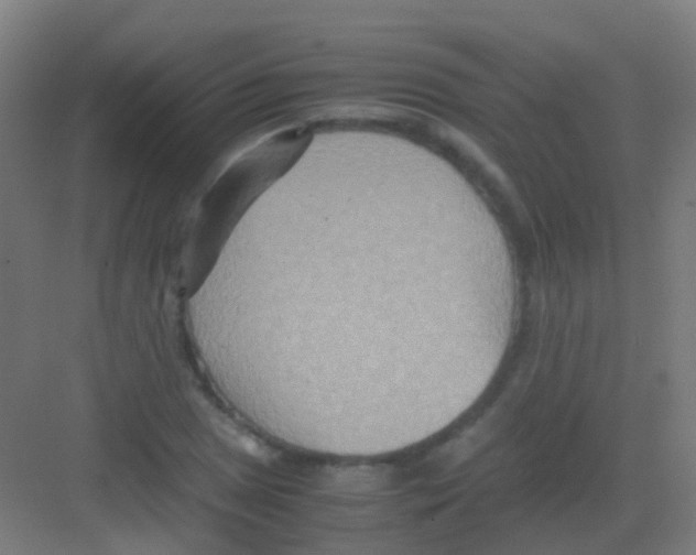 X0000081371025200702082341