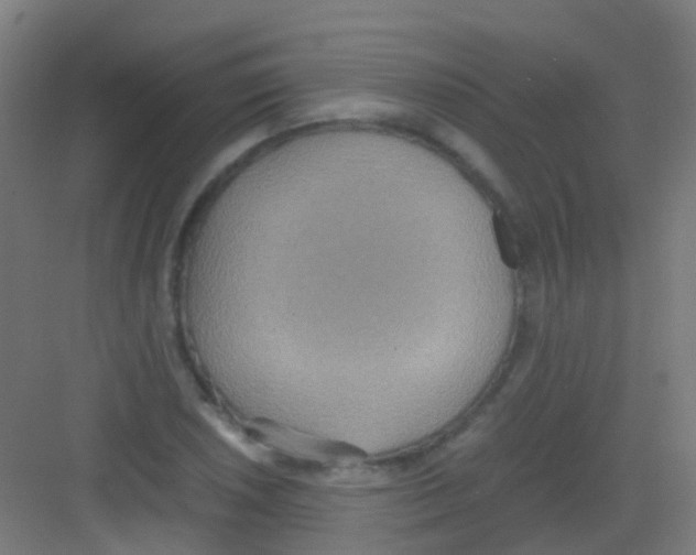 X0000081371026200702082341