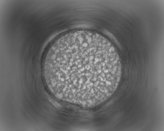 X0000081371027200702082341