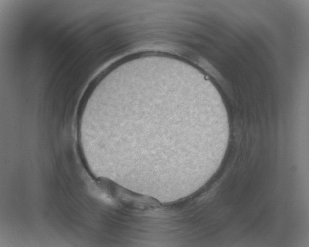 X0000081371028200702082341