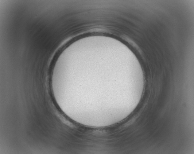 X0000081371029200702082341