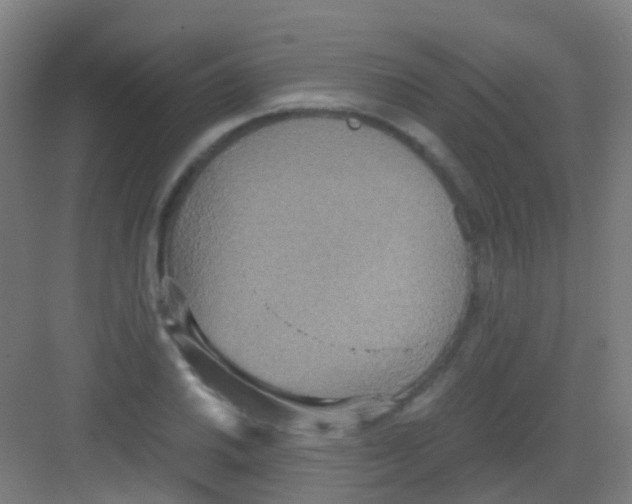 X0000081371030200702082341