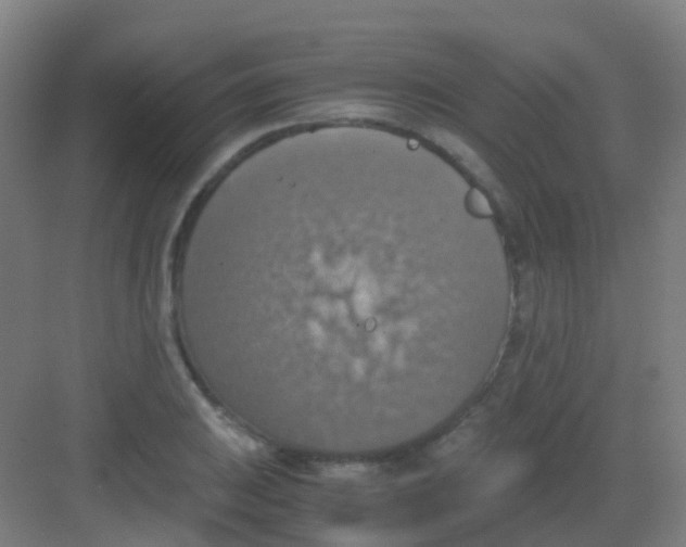 X0000081371031200702082341