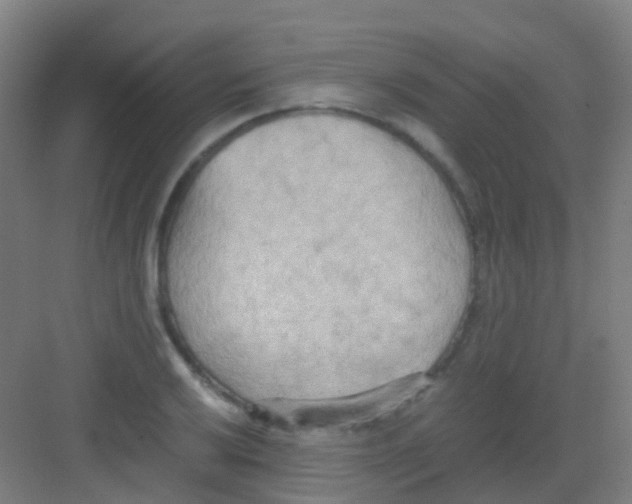 X0000081371032200702082341