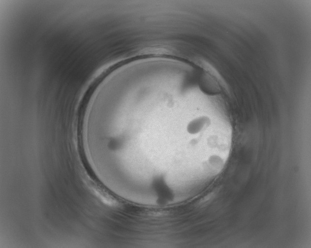 X0000081371035200702082341