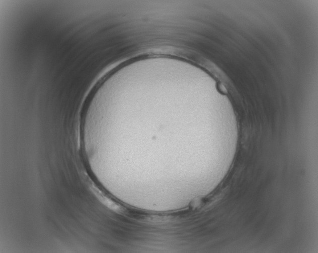 X0000081371036200702082341