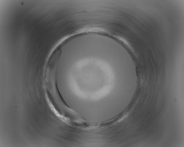 X0000081371038200702082341