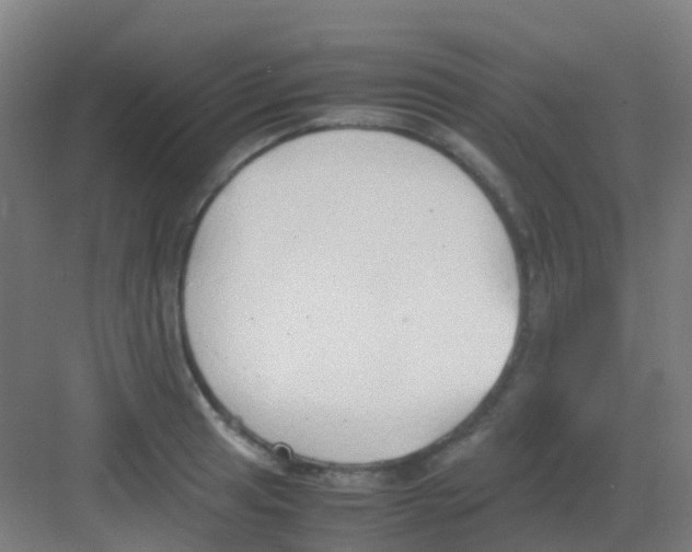 X0000081371041200702082341