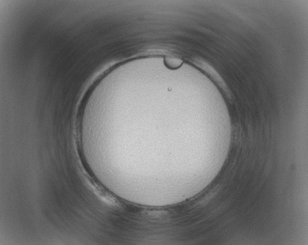 X0000081371043200702082341