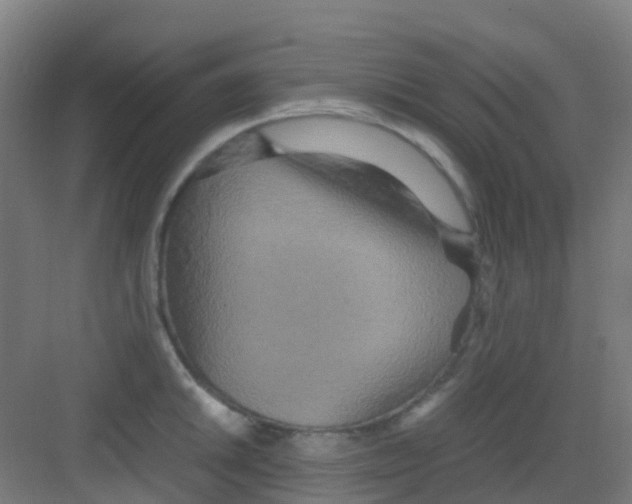 X0000081371046200702082341