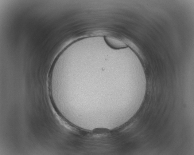 X0000081371047200702082341