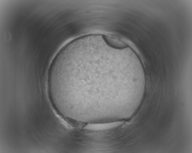 X0000081371048200702082341