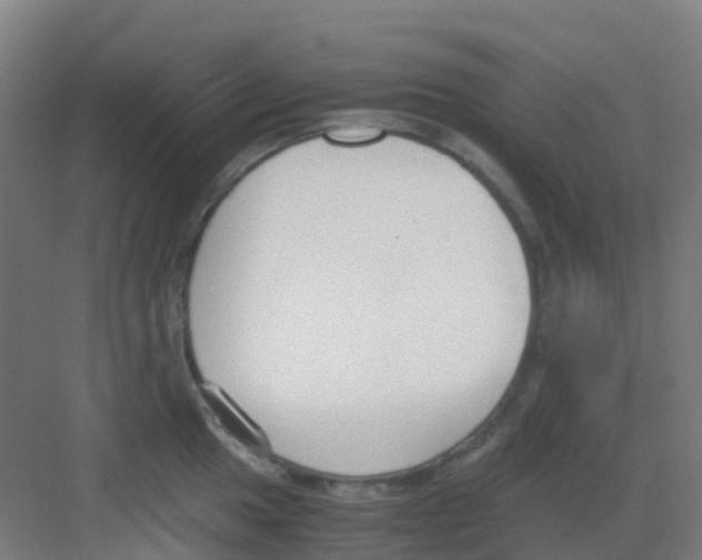 X0000081371049200702082341