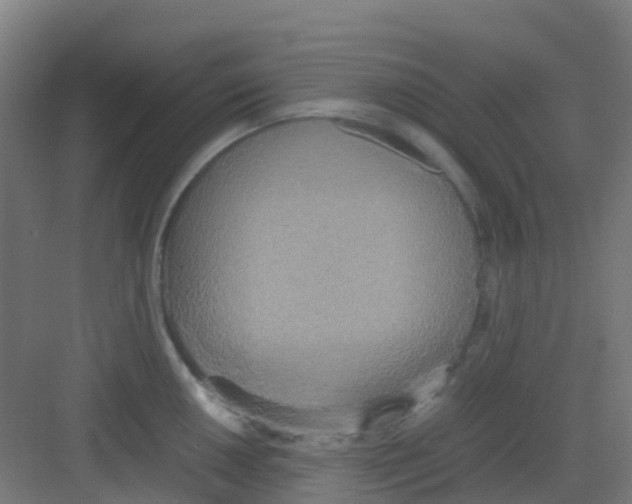 X0000081371050200702082341