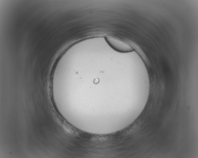 X0000081371051200702082341