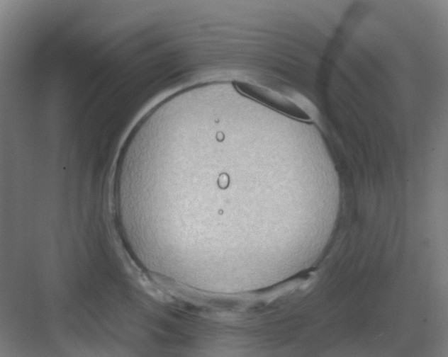 X0000081371052200702082341