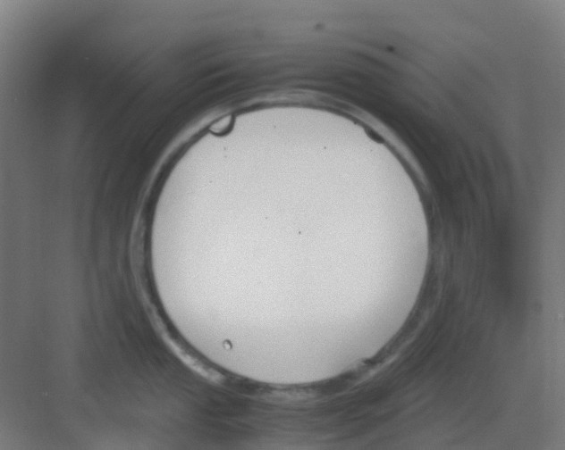 X0000081371053200702082341