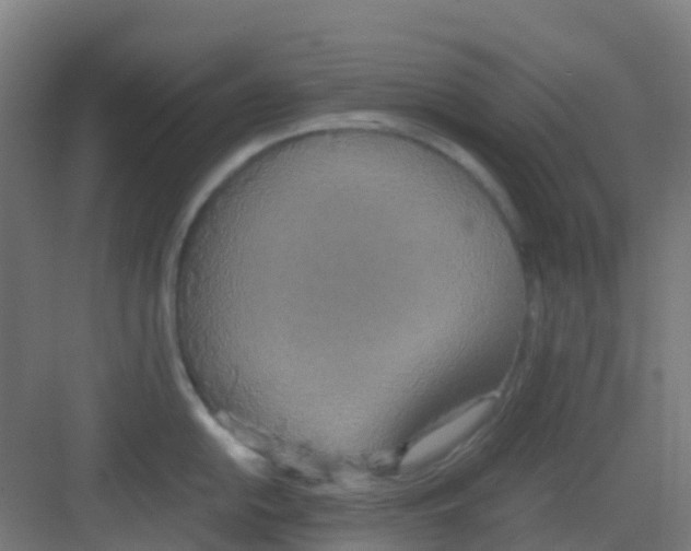 X0000081371054200702082341