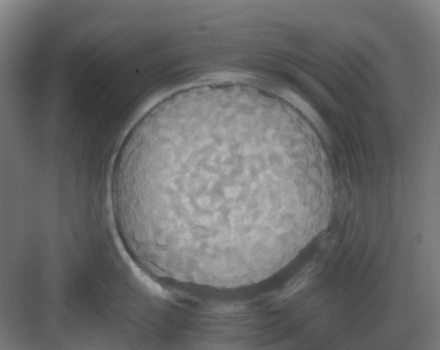 X0000081371055200702082341