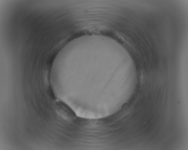 X0000081371060200702082340