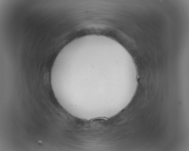 X0000081371061200702082340