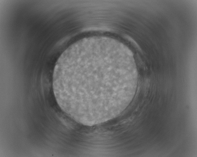 X0000081371064200702082340