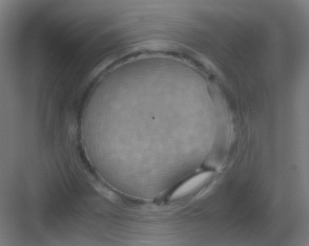 X0000081371065200702082340