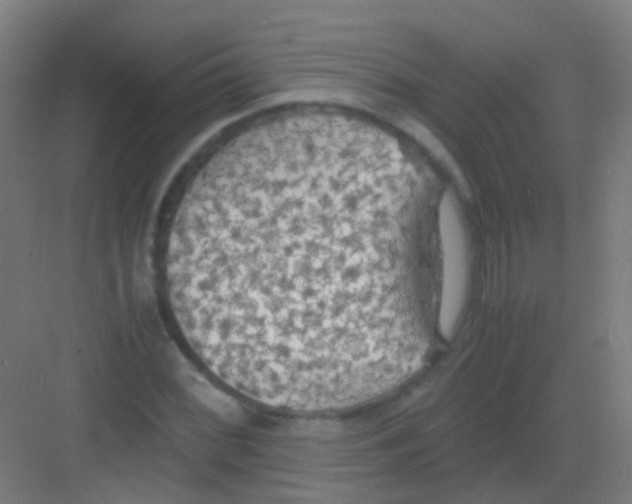 X0000081371068200702082340