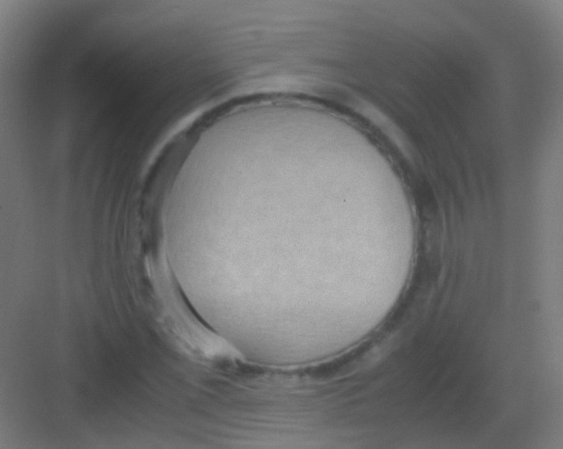 X0000081371069200702082340