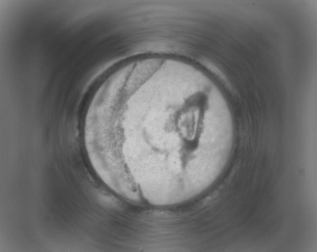 X0000081371070200702082340