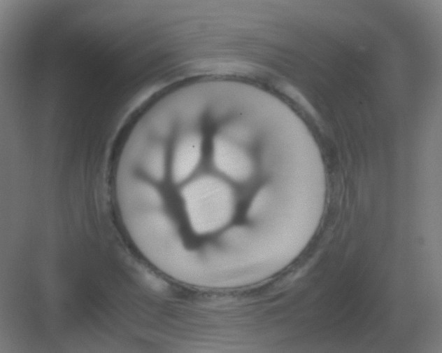 X0000081371071200702082340