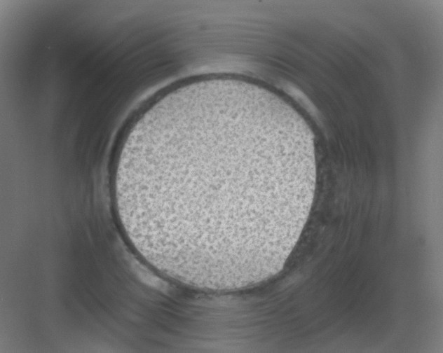 X0000081371072200702082340