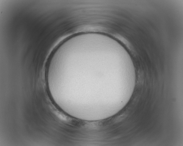 X0000081371078200702082340