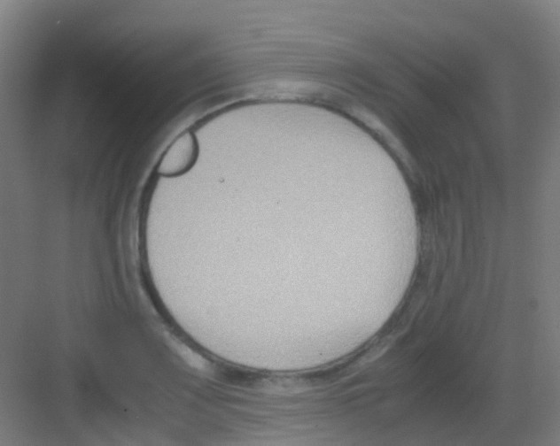 X0000081371083200702082340