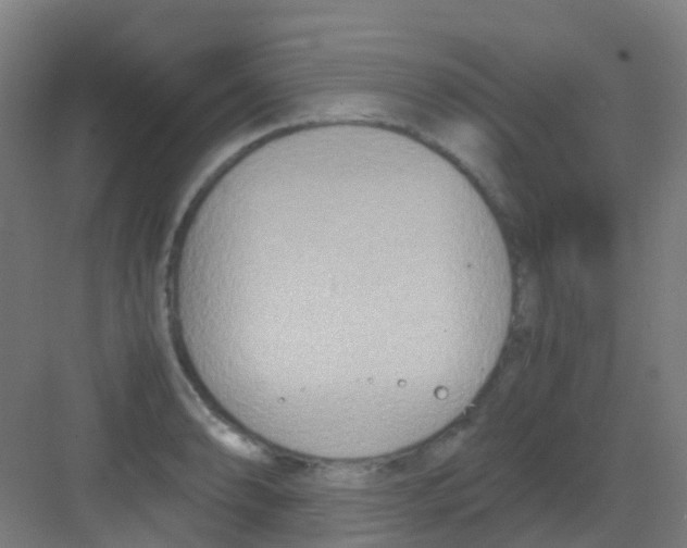 X0000081371086200702082340