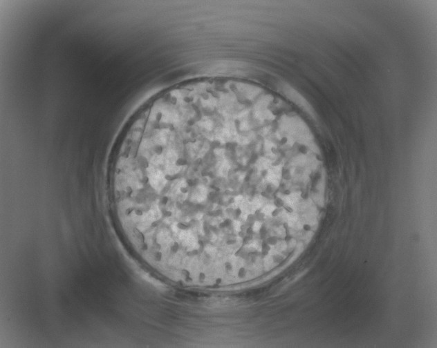 X0000081371087200702082340