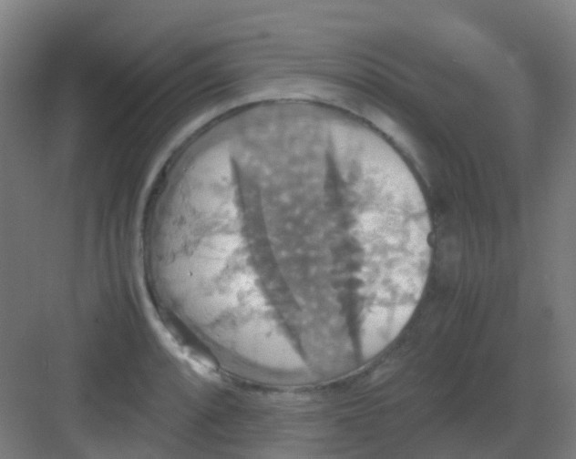 X0000081371088200702082340