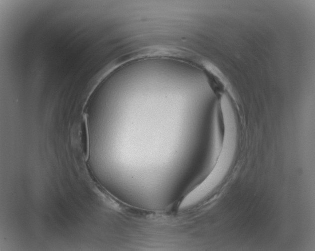 X0000081371089200702082340