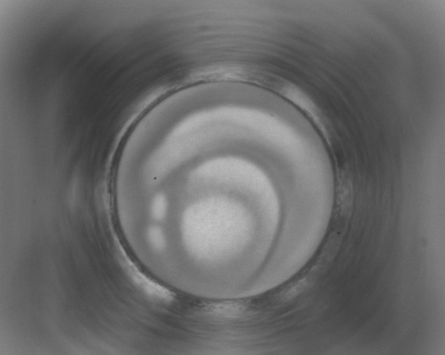 X0000081371090200702082340